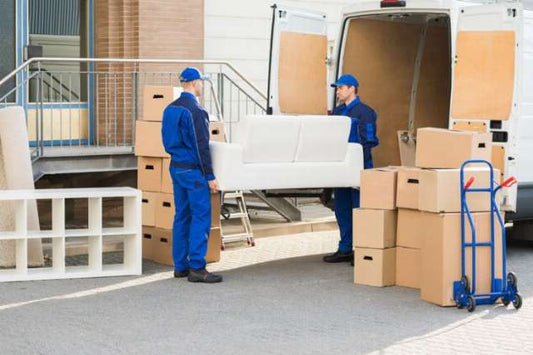 Removal Services
